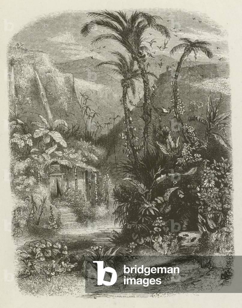 The Pariah's garden at sunrise (engraving)