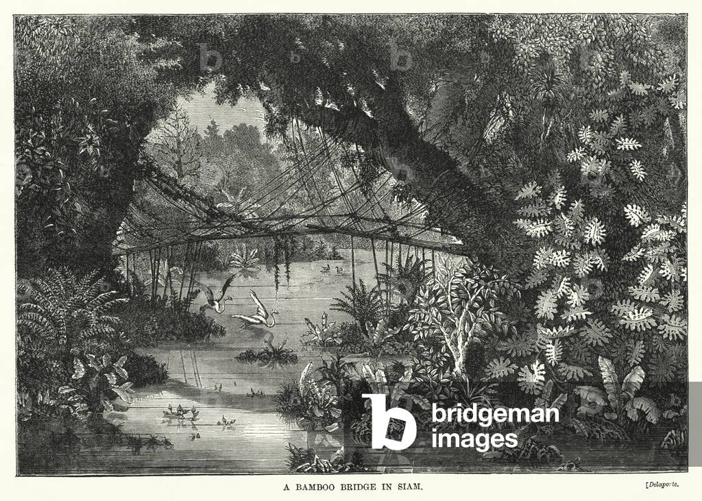 A Bamboo Bridge in Siam (engraving)