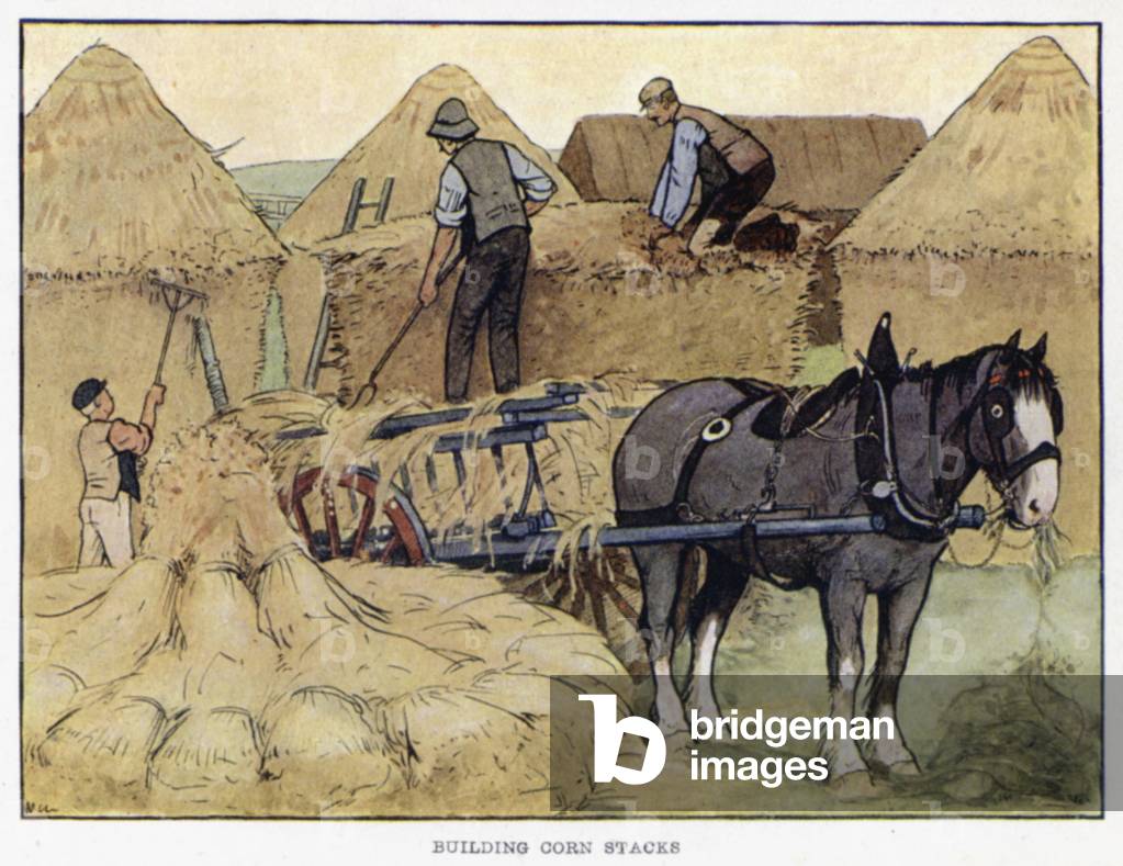 Building Corn Stacks (colour litho)