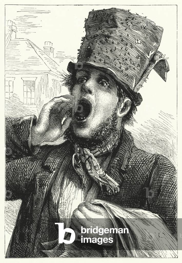 A man selliing fly papers (litho)