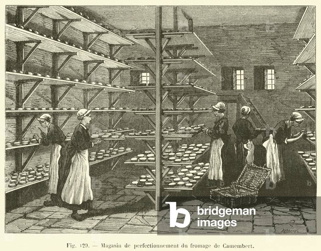 Magasin de perfectionnement du fromage de Camembert (engraving)