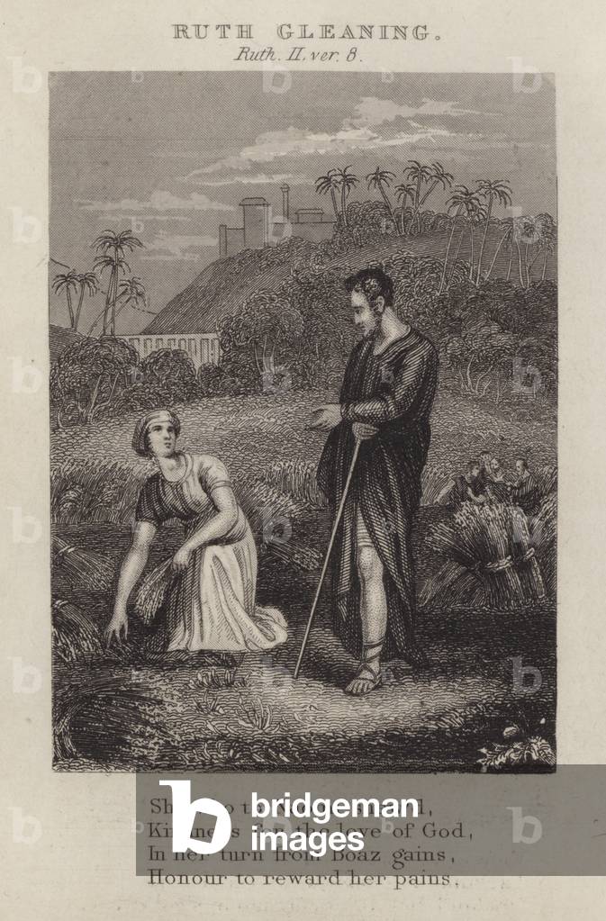 Ruth gleaning, Ruth II, ver 8 (engraving)