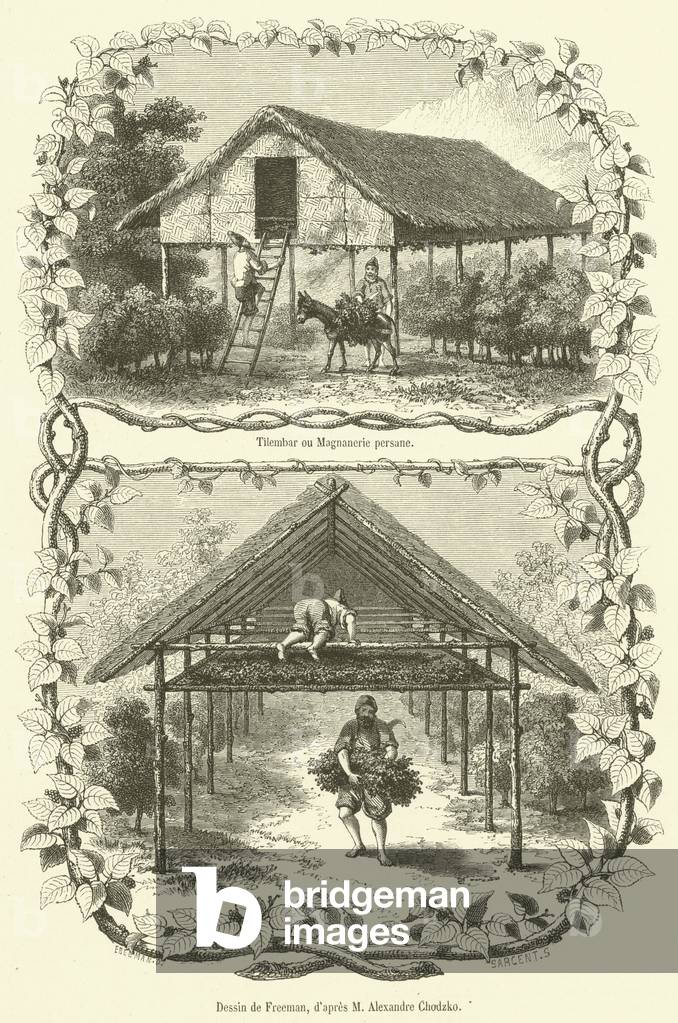 Tilembar ou Magnanerie persane (engraving)