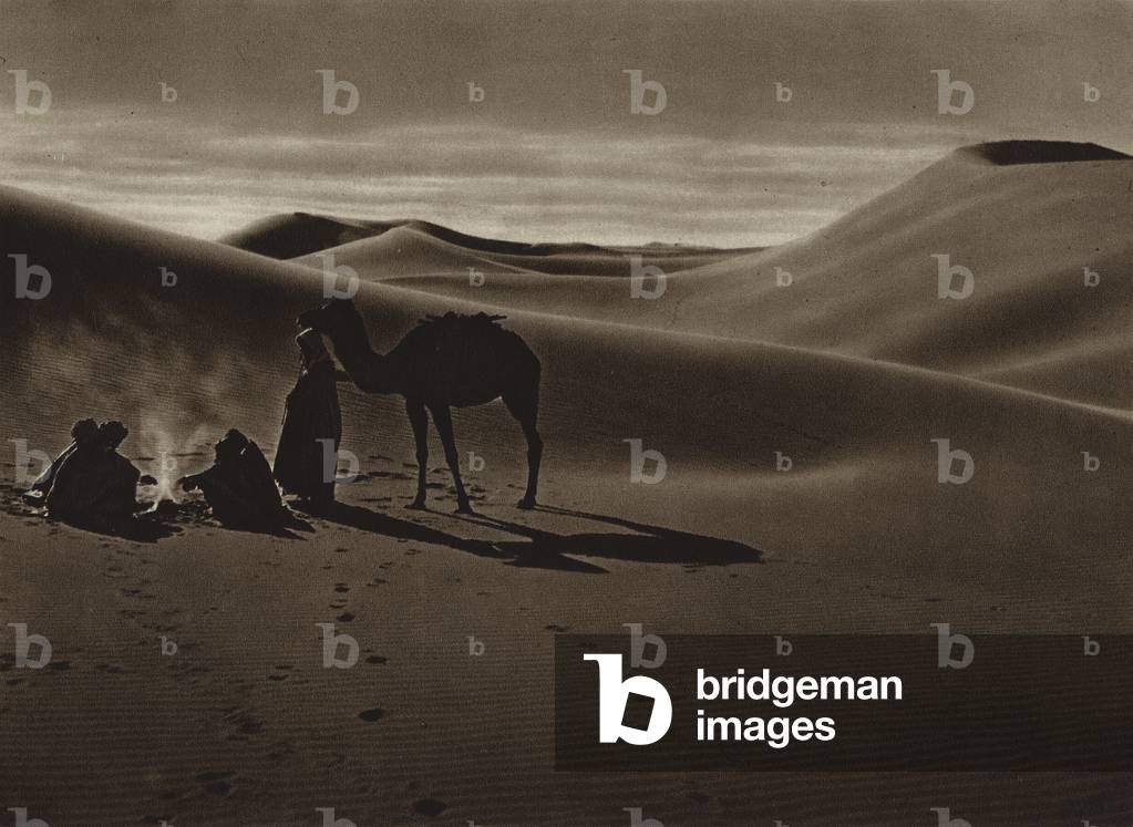 Evening in the desert (b/w photo)