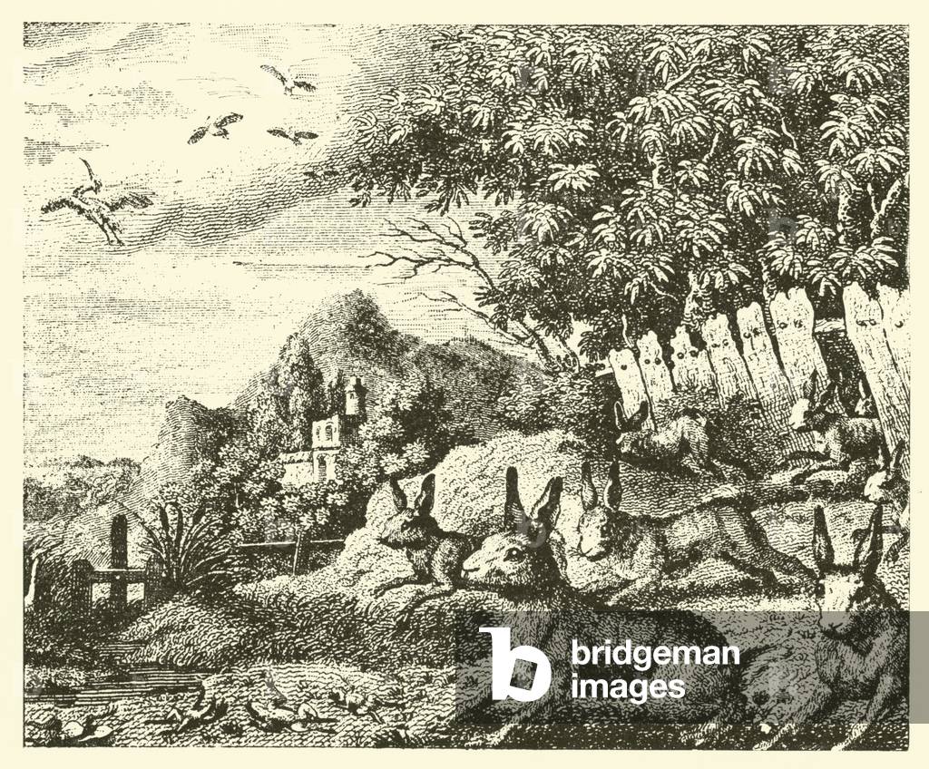 The hares and frogs in a storm (engraving)