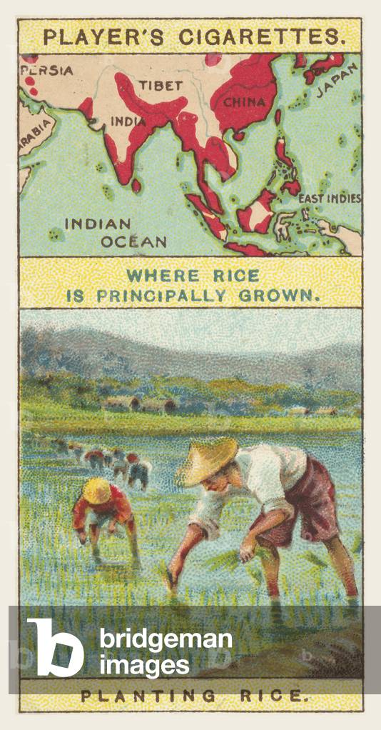 Rice (chromolitho)