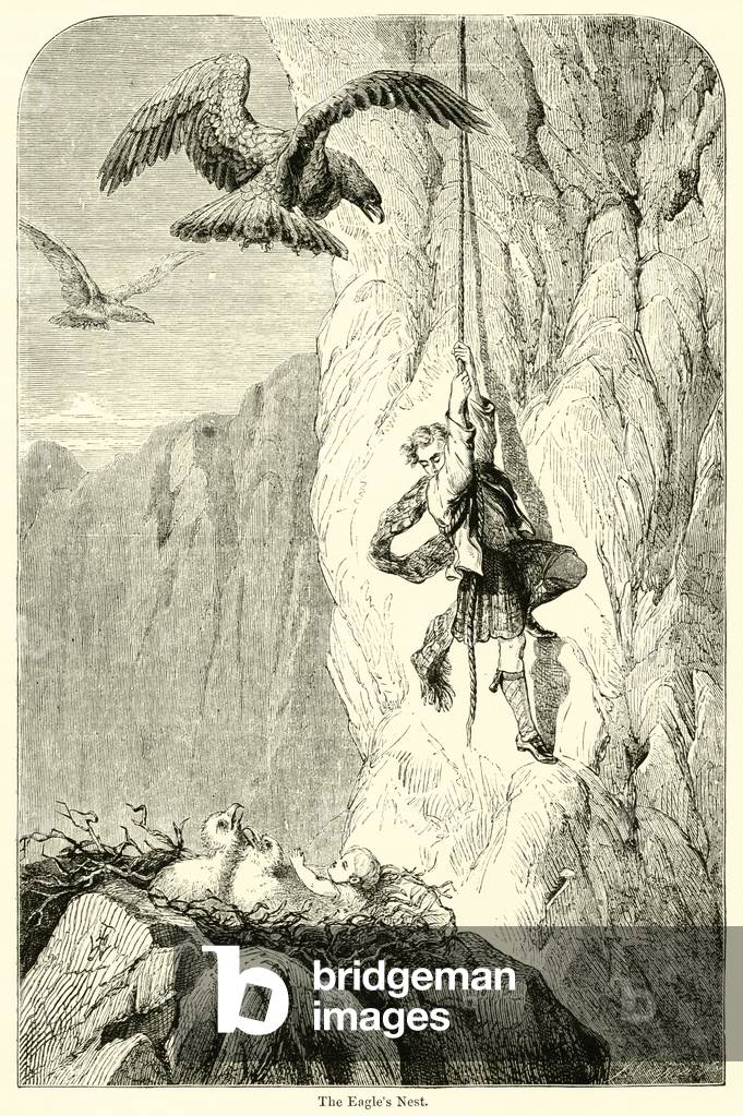 The Eagle's Nest (engraving)