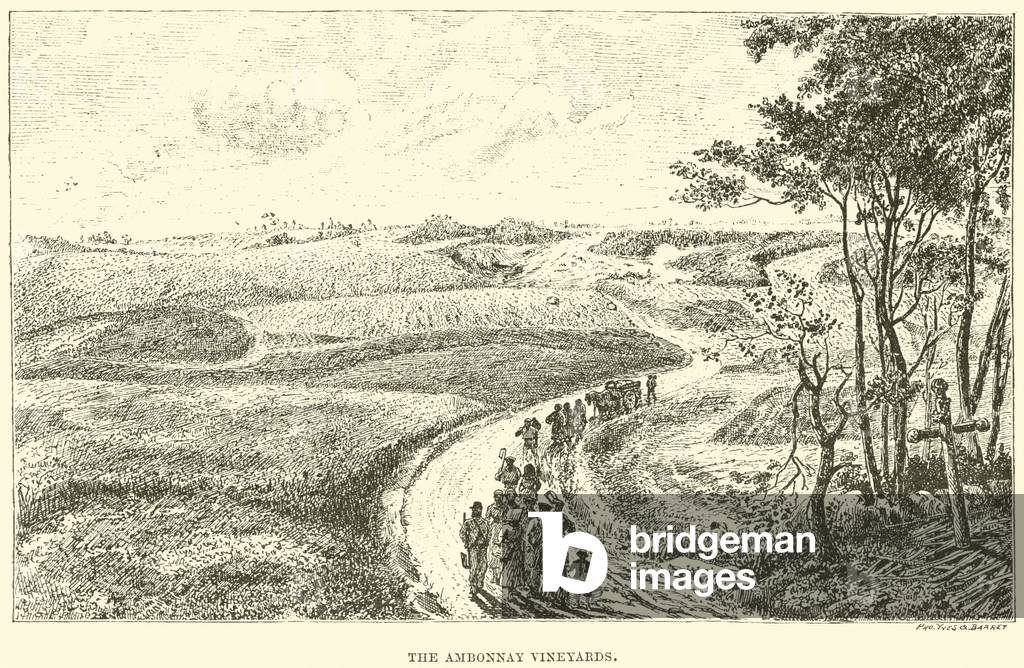 The Ambonnay Vineyards (engraving)