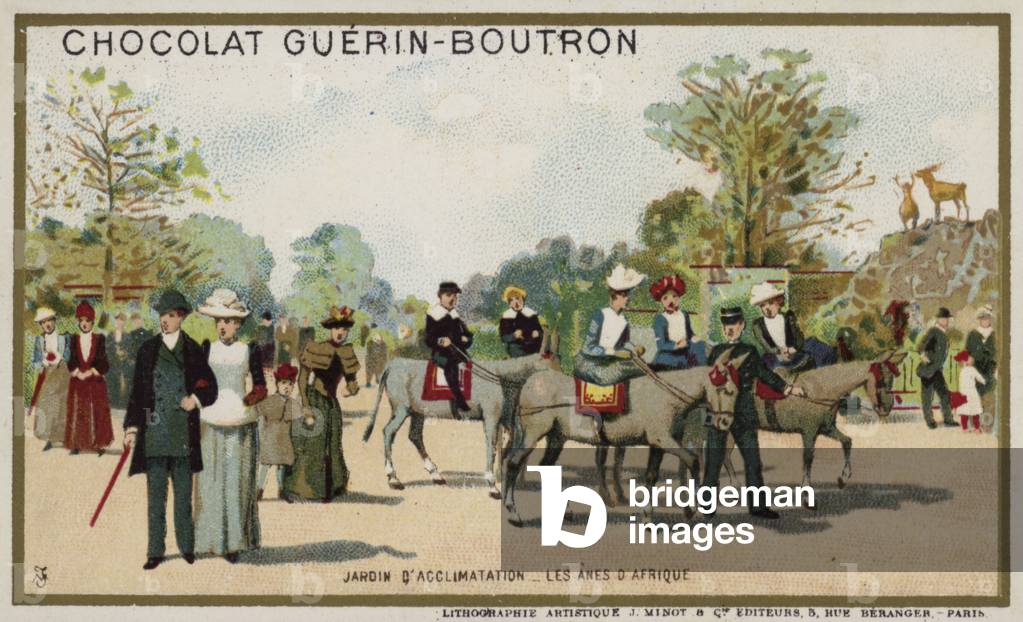 African donkeys, Jardin d'Acclimation, Paris (chromolitho)
