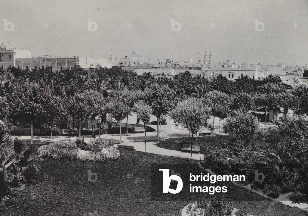 Cadiz: Parque Genoves (b/w photo)