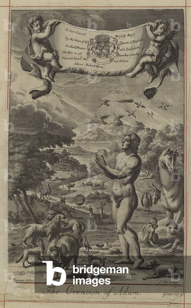 The Creation of Adam (engraving)