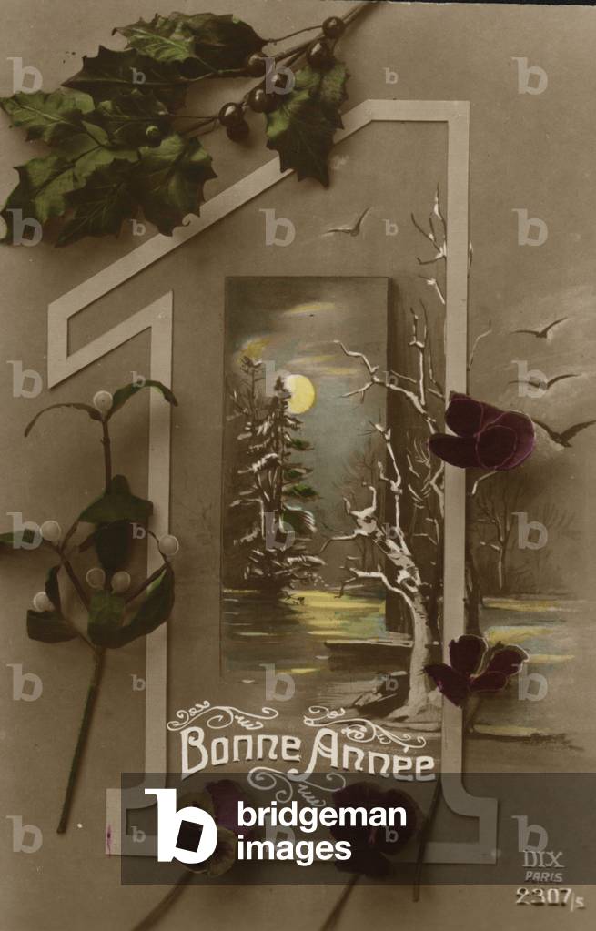 New Year Card, 1900s (postcard)