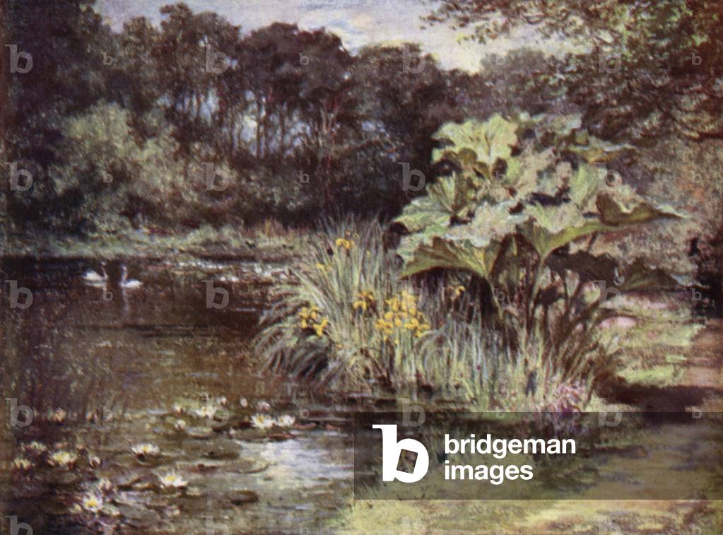 Scottish Gardens: Culzean (colour litho)