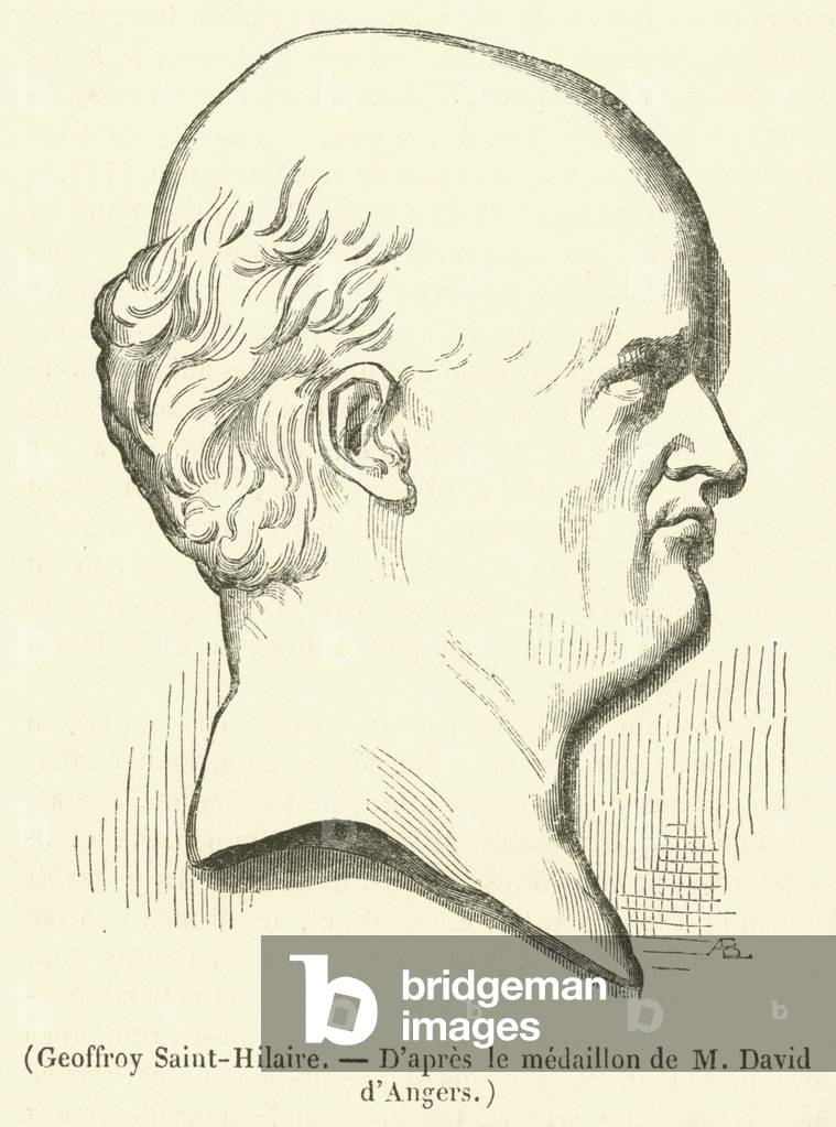 Geoffroy Saint-Hilaire (engraving)