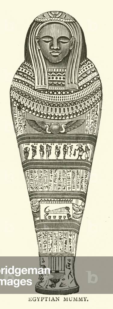 Egyptian Mummy (engraving)