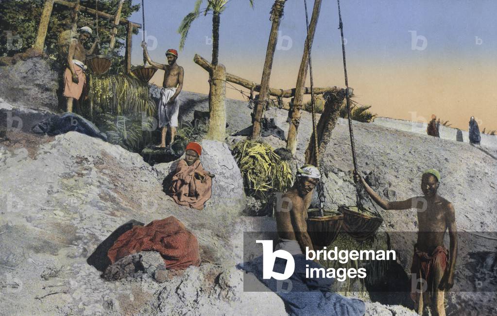 Cairo, Chadoufs (coloured photo)