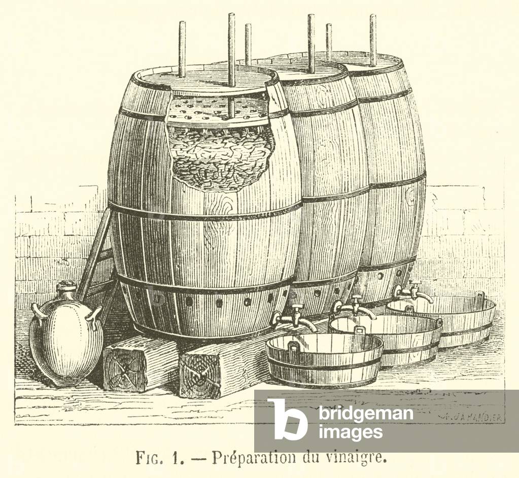 Preparation du vinaigre (engraving)