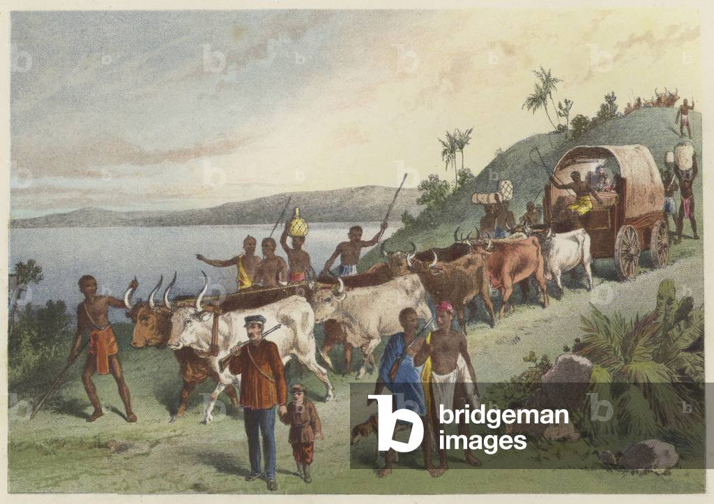 The arrival at Lake Ngami (chromolitho)