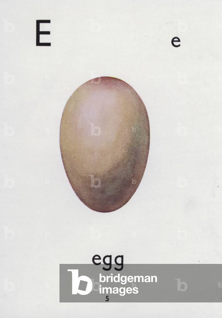 Letter E, egg (colour litho)