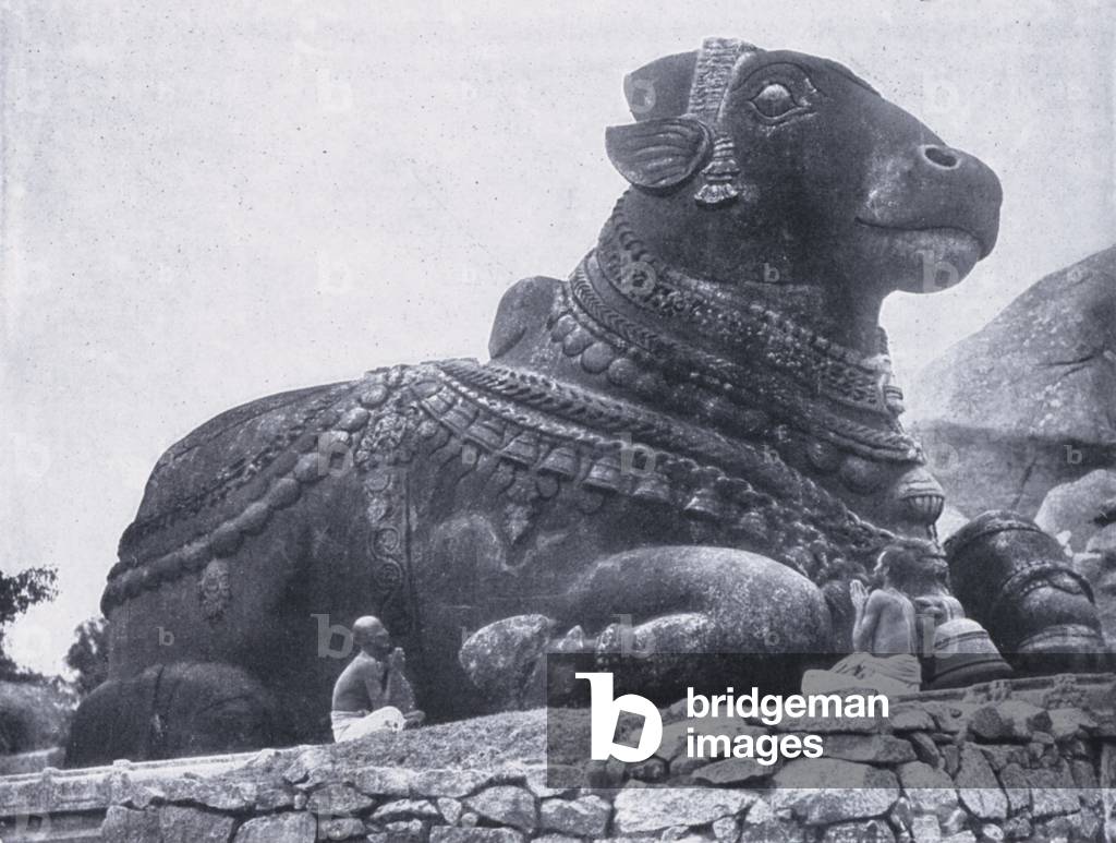 The Siva Bull, Charmandi, Mysore (b/w photo)