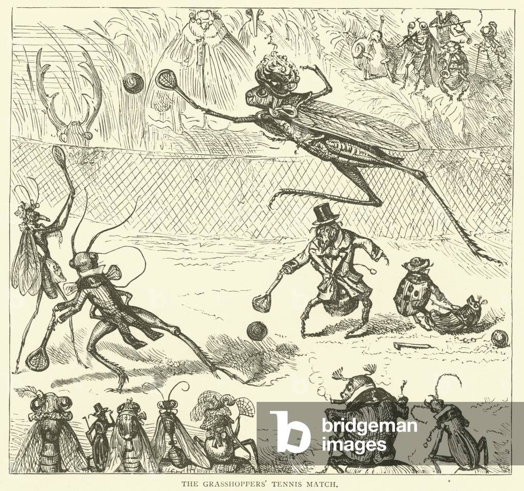 The grasshoppers' tennis match (engraving)