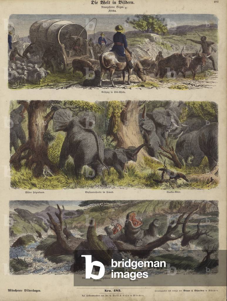 Africa (coloured engraving)