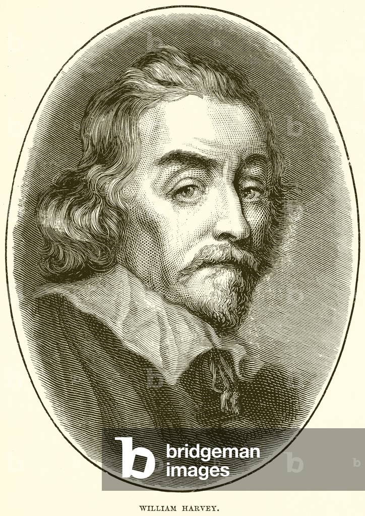 William Harvey (engraving)