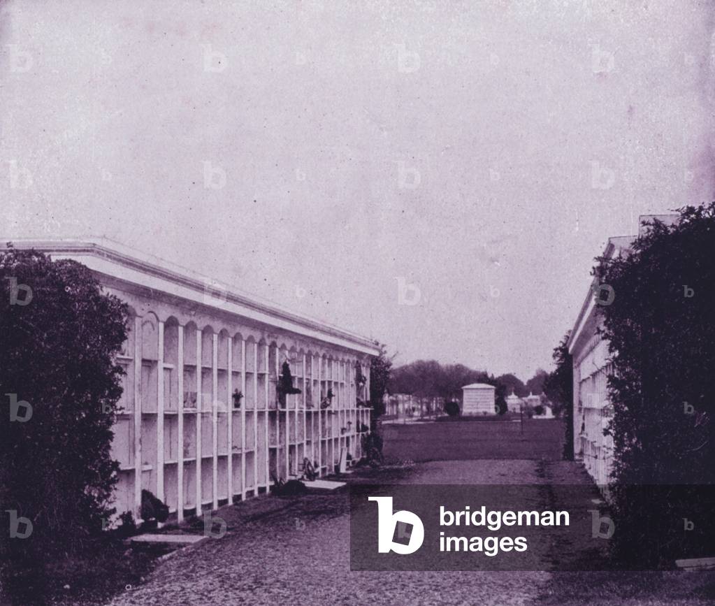 Avenue of Tombs in Washington Cemetery, New Orleans (b/w photo)