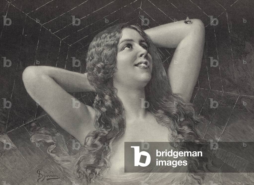 The Spider (engraving)