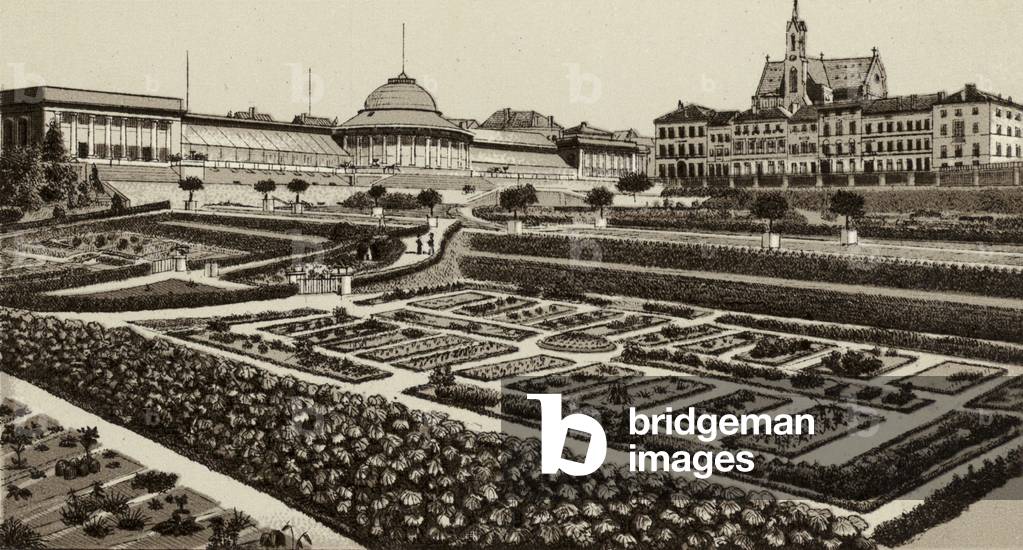 Bruxelles/Brussels: Le Jardin botanique (litho)