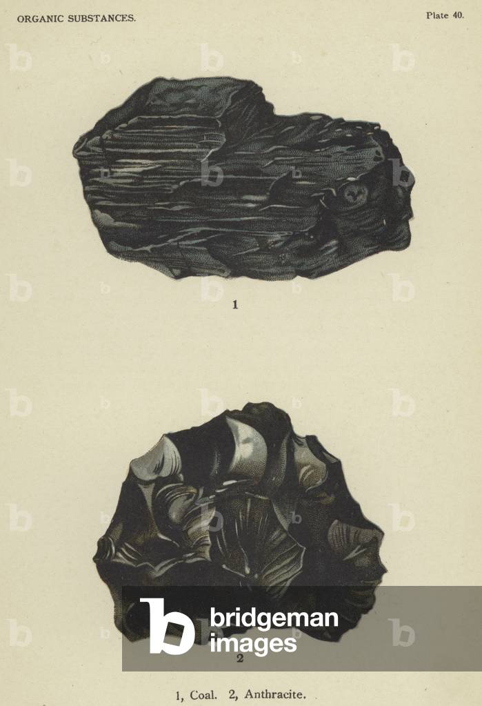 Organic substances, coal, anthracite (colour litho)