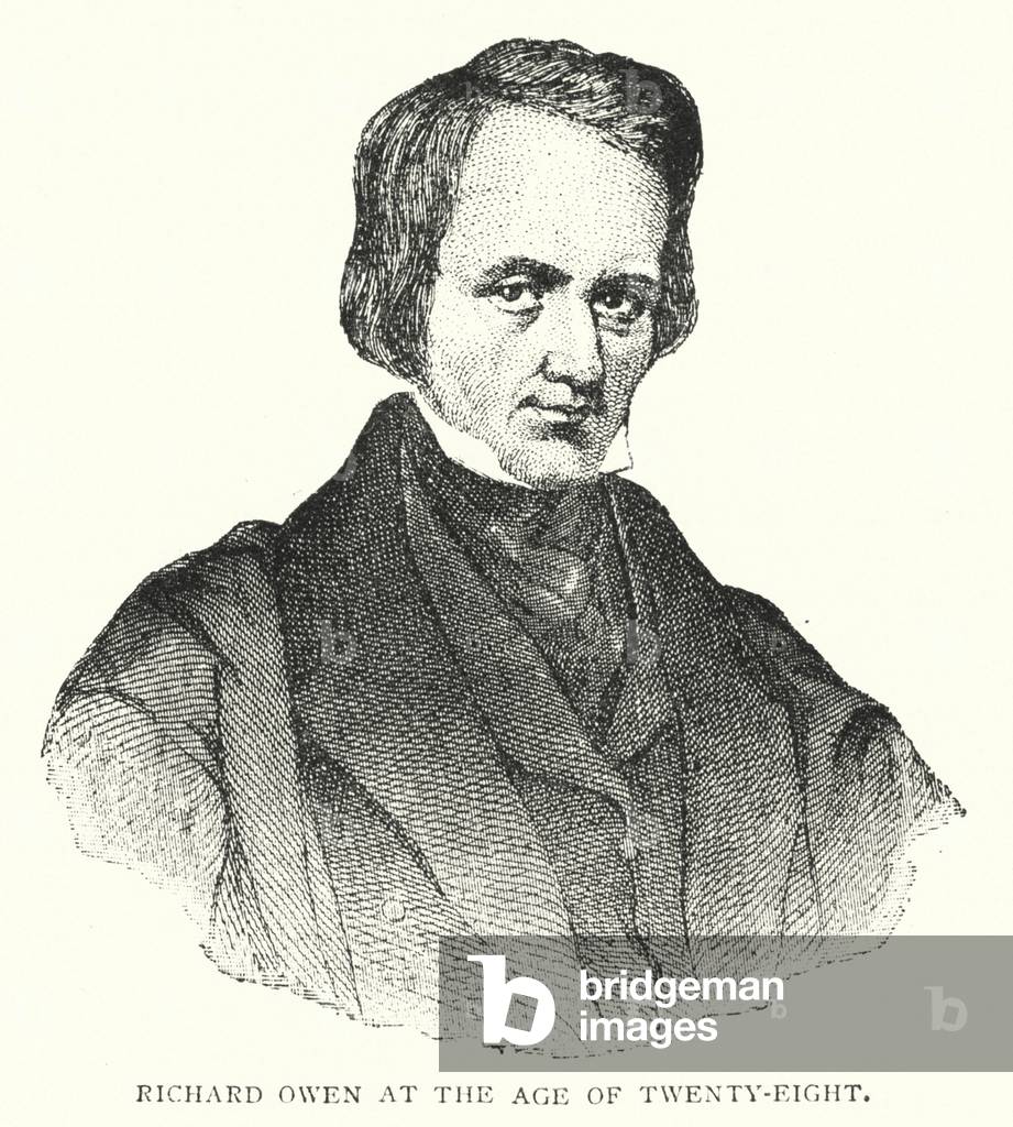 Richard Owen at the Age of Twenty-Eight (engraving)