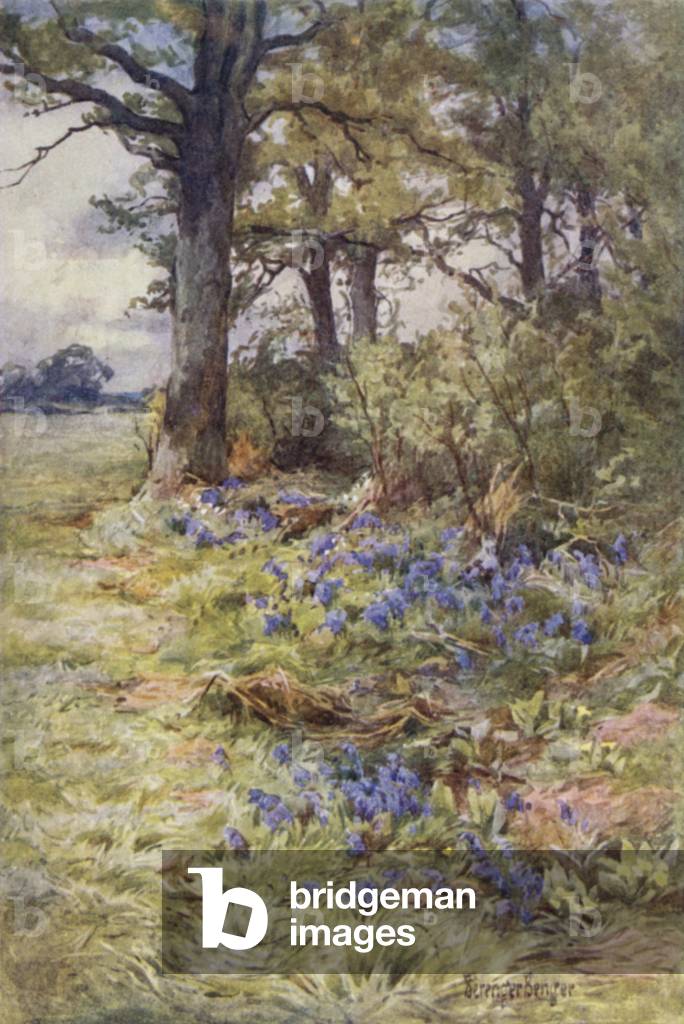 Fringes of the Fragrant Woods (colour litho)