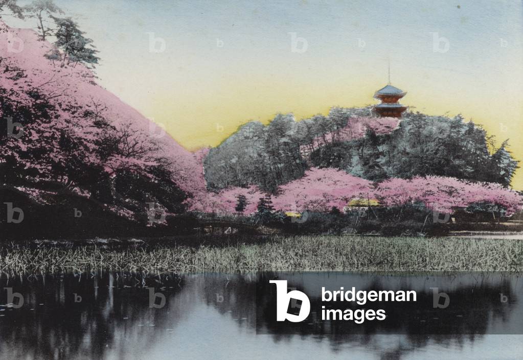 Japan, c.1912: Sankeiyen, Mr Hara's Private Garden, Honmoku, Yokohama (photo)