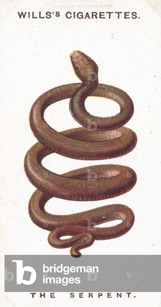 The Serpent (chromolitho)