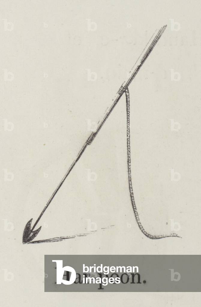 Harpoon (engraving)