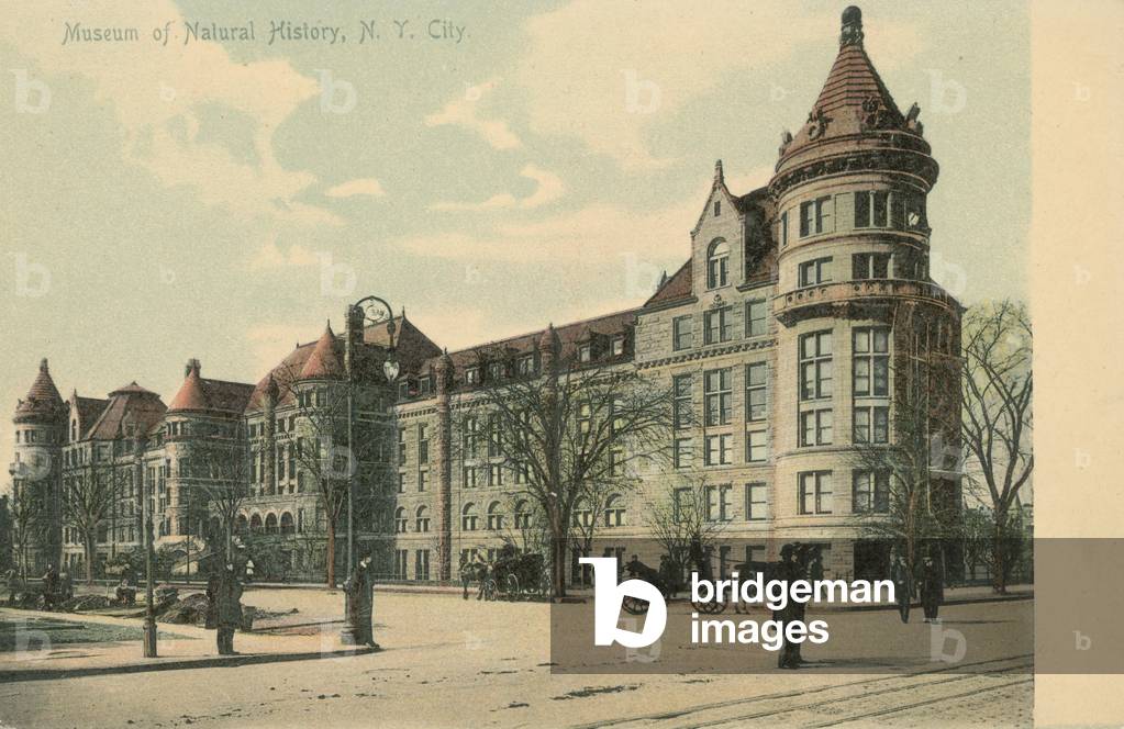 Museum of Natural History, New York City (colour photo)