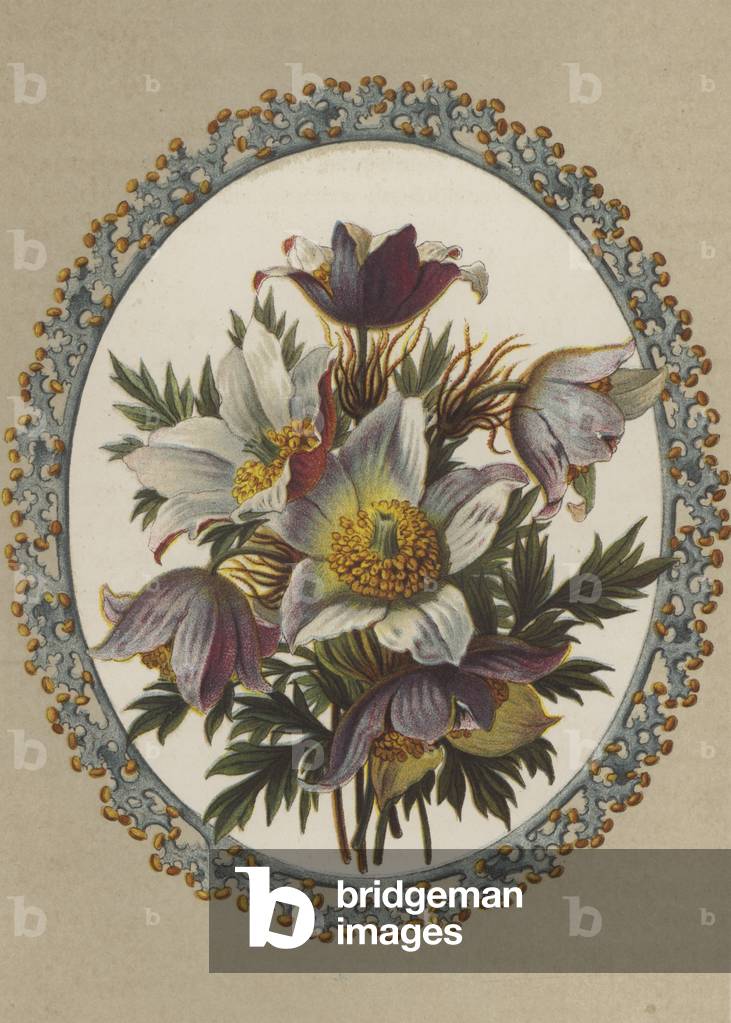 Anemones (chromolitho)