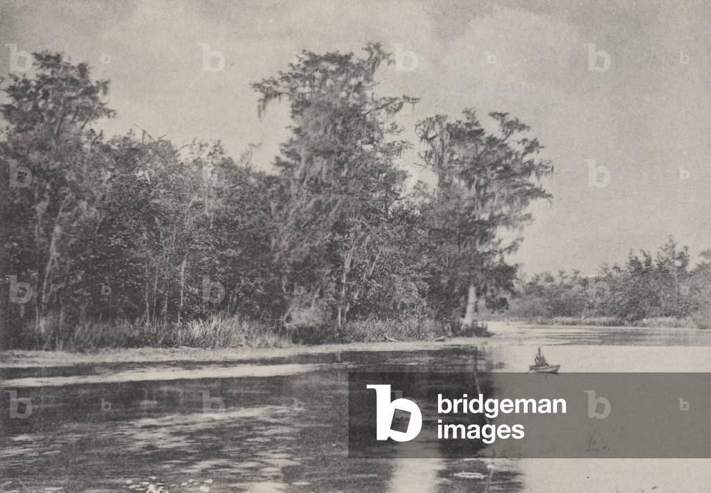 New Orleans: A Louisiana Bayou (b/w photo)