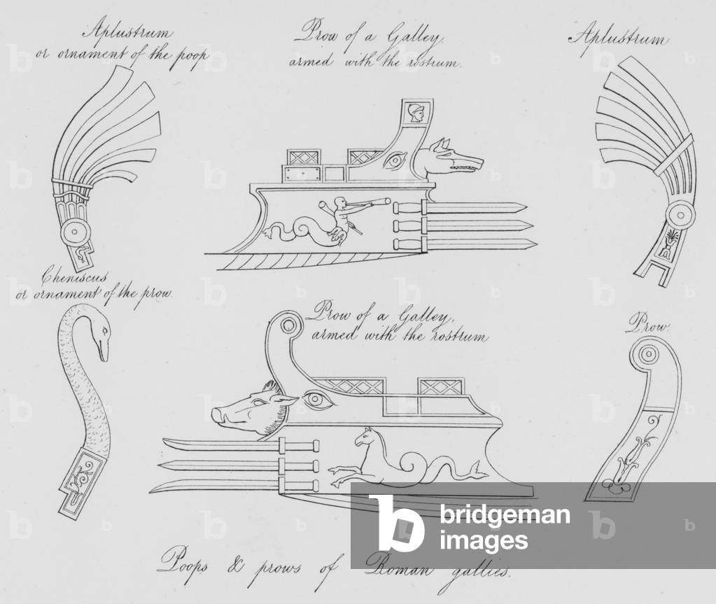 Poops and prows of Roman gallies (engraving)