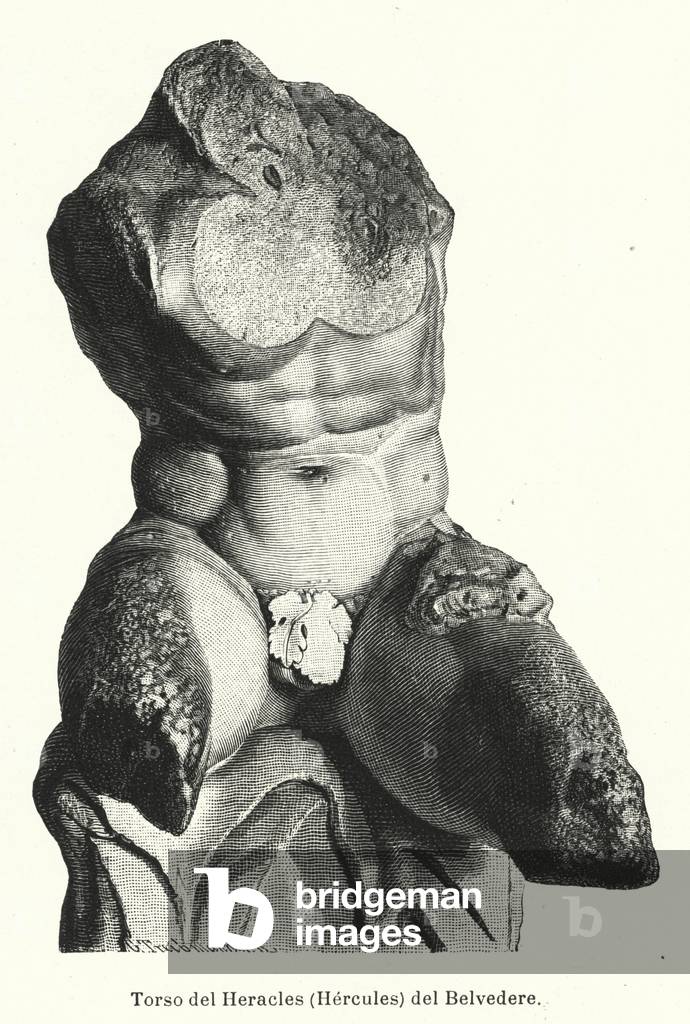 The Belvedere Torso, Roman sculpture traditionally believed to be a representation of Hercules (litho)