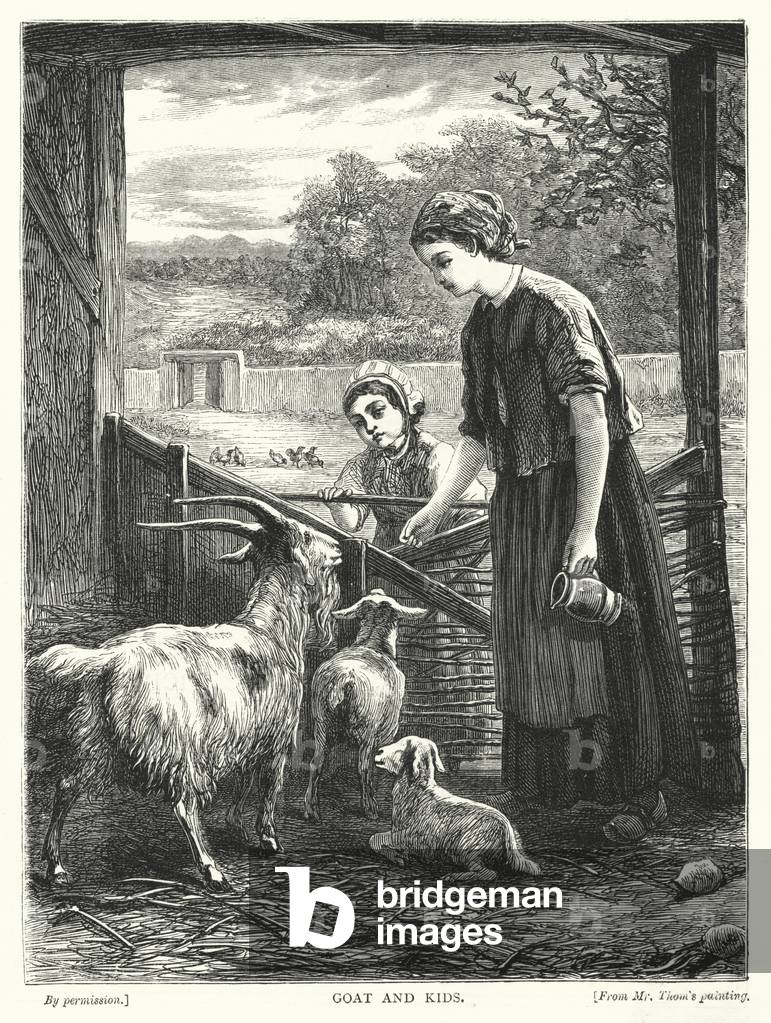 Goat and Kids (engraving)