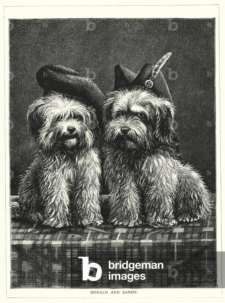 Donald and Sandy (engraving)