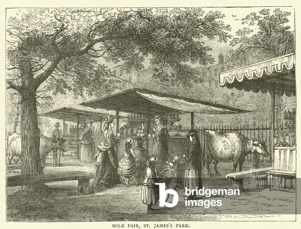 Milk Fair, St James's Park (engraving)