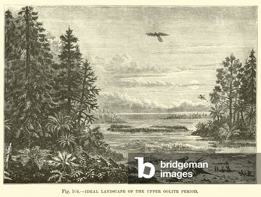 Ideal Landscape of the Upper Oolite Period (engraving)