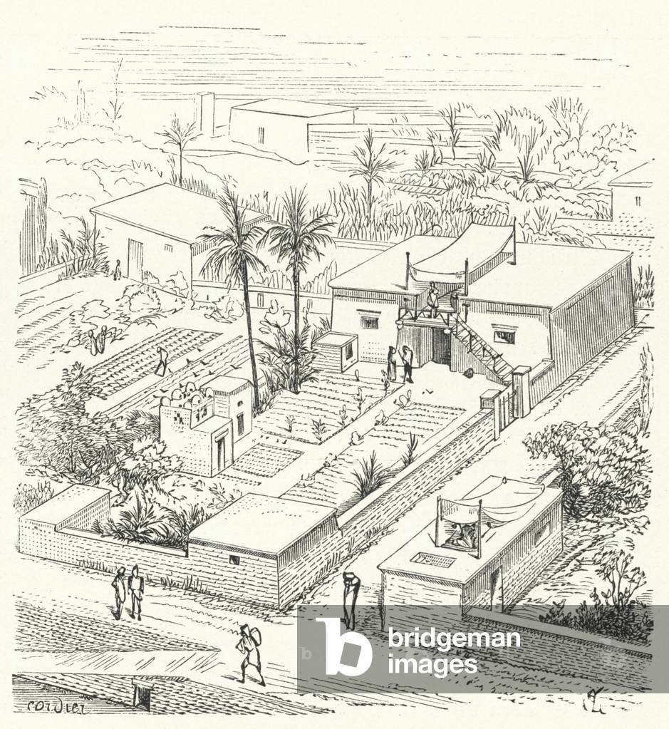 Rural house in Ancient Egypt (engraving)