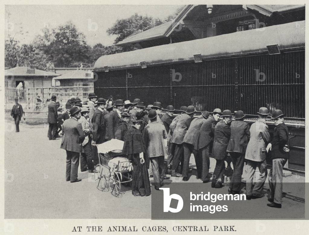At the Animal Cages, Central Park (b/w photo)