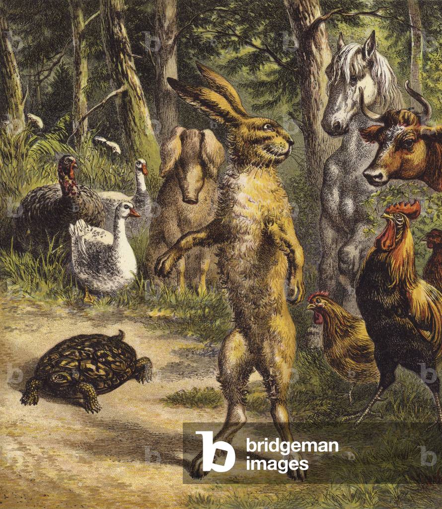 The Hare And The Tortoise (colour litho)