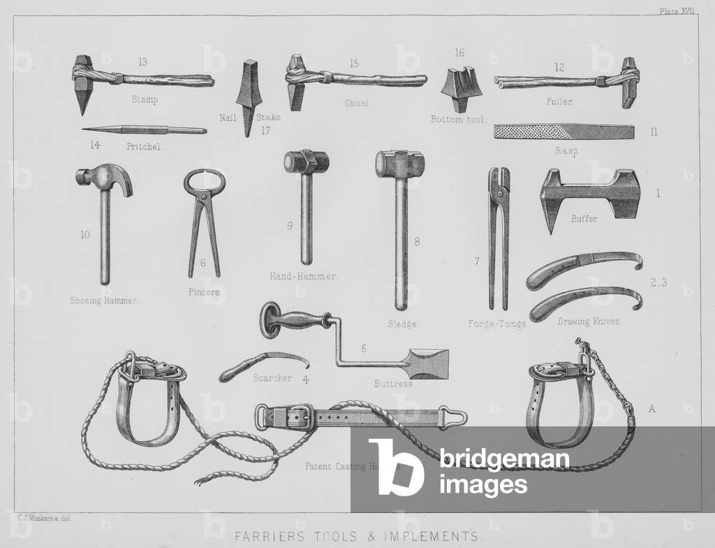Farrier's tools and implements (litho)