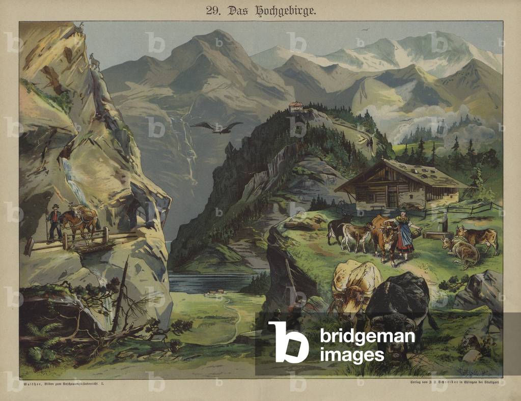 Mountain life (colour litho)